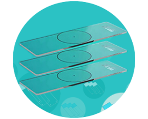 NOPAYǮ�� - ��ȫ��ݵ��ֻ�֧��Ǯ������