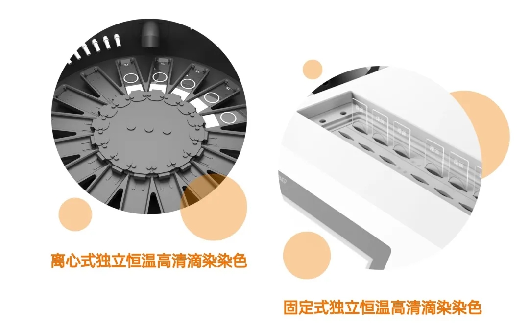 66135251797c6 NOPAY钱包 - 安全便捷的手机支付钱包工具